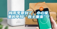 梅雨季要到了，小心家里的甲醛“卷土重来”！