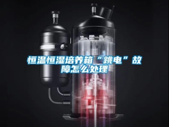 知识百科恒温恒湿培养箱“跳电”故障怎么处理