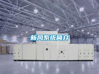 企业新闻新风系统简介