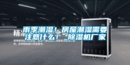 雨季潮湿！房屋潮湿需要注意什么！_除湿机厂家