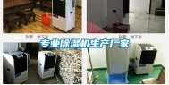 专业除湿机生产厂家