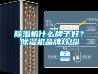 企业新闻除湿机什么牌子好？除湿机品牌介绍