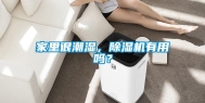 家里很潮湿，除湿机有用吗？