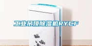 工业吊顶除湿机RYCF