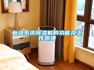 常见问题新风系统除湿机的功能及工作原理