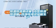 恒温恒湿测试箱 小型恒温恒湿箱 恒湿恒湿试验箱生产