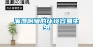 潮湿阴暗的环境容易生虫