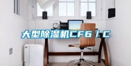 大型除湿机CF6／C