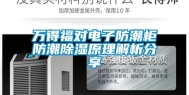 万得福对电子防潮柜防潮除湿原理解析分享