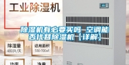 除湿机有必要买吗 空调能否代替除湿机【详解】
