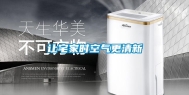 让宅家时空气更清新
