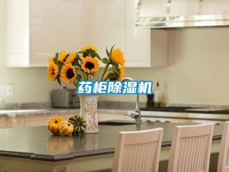 行业新闻药柜除湿机