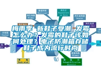 常见问题梅雨季 新鞋子受潮 发霉怎么办？发霉的鞋子该如何处理？电子防潮箱存储鞋子成为流行时尚