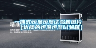 一体式恒温恒湿试验箱图片（优质的恒温恒湿试验箱）