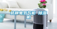 抗静电氮气柜 除湿机