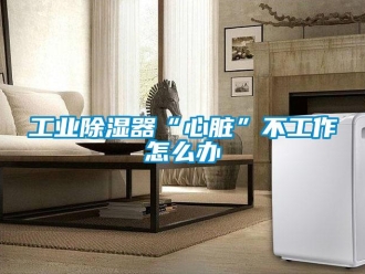 常见问题工业除湿器“心脏”不工作怎么办