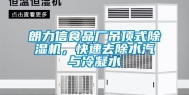 朗力信食品厂吊顶式除湿机，快速去除水汽与冷凝水