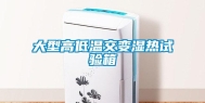 大型高低温交变湿热试验箱