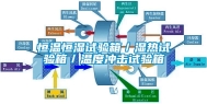 恒温恒湿试验箱／湿热试验箱／温度冲击试验箱