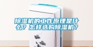 除湿机的工作原理是什么？怎样选购除湿机？