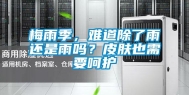 梅雨季，难道除了雨还是雨吗？皮肤也需要呵护
