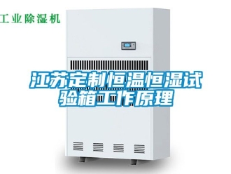 知识百科江苏定制恒温恒湿试验箱工作原理
