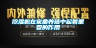 除湿机在家禽养殖中起着重要的作用