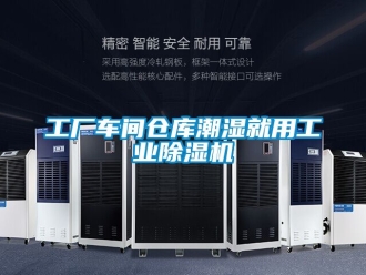 常见问题工厂车间仓库潮湿就用工业除湿机