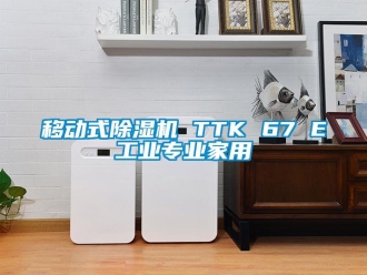 常见问题移动式除湿机 TTK 67 E工业专业家用