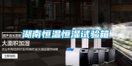 湖南恒温恒湿试验箱