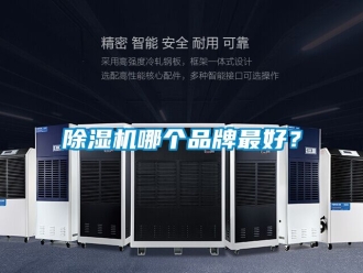 企业新闻除湿机哪个品牌最好？