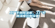工厂专用除湿机，工厂专用湿度控制设备