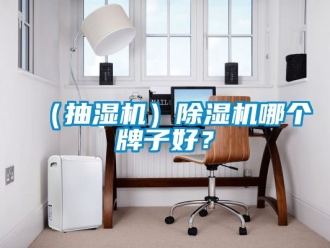 企业新闻（抽湿机）除湿机哪个牌子好？