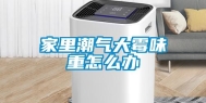 家里潮气大霉味重怎么办