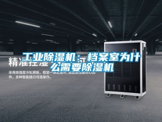 常见问题工业除湿机：档案室为什么需要除湿机