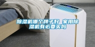 除湿机哪个牌子好 家用除湿机有必要买吗