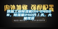 供应工业除湿机DH-2402B，除湿量240升／天，大量现货