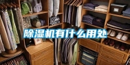 除湿机有什么用处