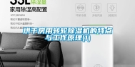 烘干房用转轮除湿机的特点与工作原理(1)