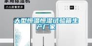 大型恒温恒湿试验箱生产厂家