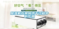 除湿机在食品烘干过程中的作用