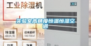 实验室高精度恒温恒湿空调