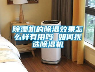 企业新闻除湿机的除湿效果怎么样有用吗 如何挑选除湿机