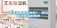 还在为回南天烦恼？ 四款高效除湿机推荐