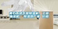 黄石市地下室除湿机，工业抽湿机  除湿器厂家 价格