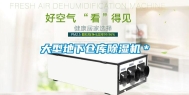 大型地下仓库除湿机＊