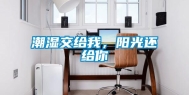 潮湿交给我，阳光还给你