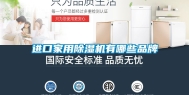 进口家用除湿机有哪些品牌