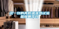 这一刻的高低温湿热试验箱耀眼夺目