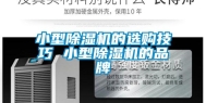 小型除湿机的选购技巧 小型除湿机的品牌